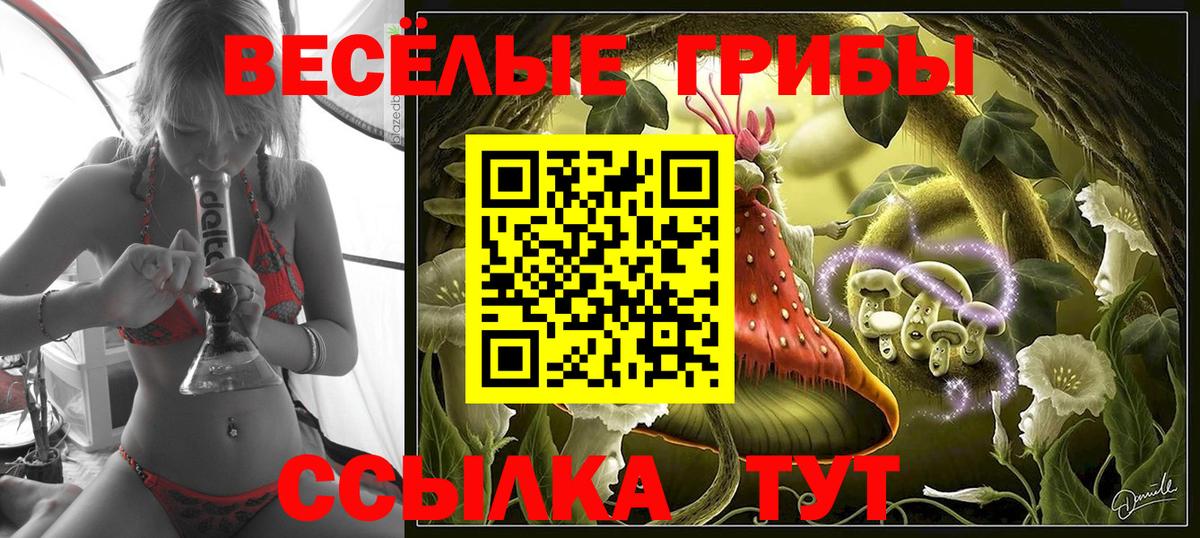 Псилоцибиновые грибы Psilocybe Тула