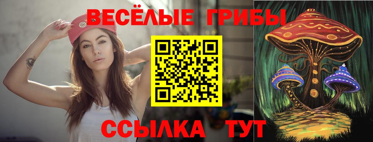 Псилоцибиновые грибы Psilocybe  Галлюциногенные грибы GOLDEN TEACHER  наркота  Вход с VPN  Тула 